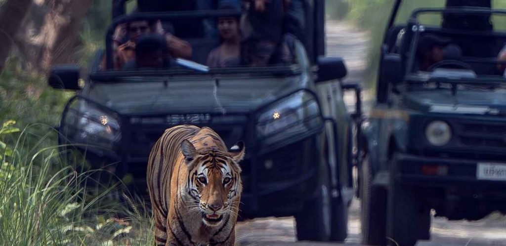 jungle safari zones in kishanpur wildlife sanctuary