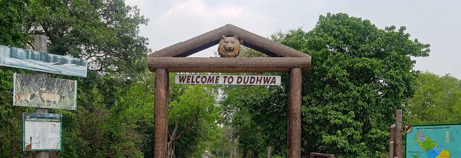 dudhwa national park heart of terai region