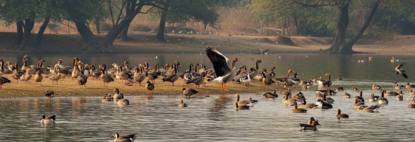 Kishanpur Tour Packages