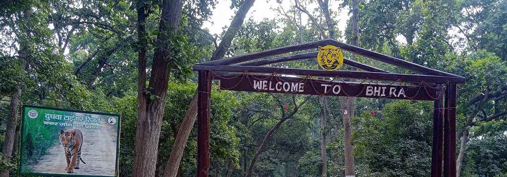Padaria Beat, Bhira Range Dudhwa Tiger Reserve