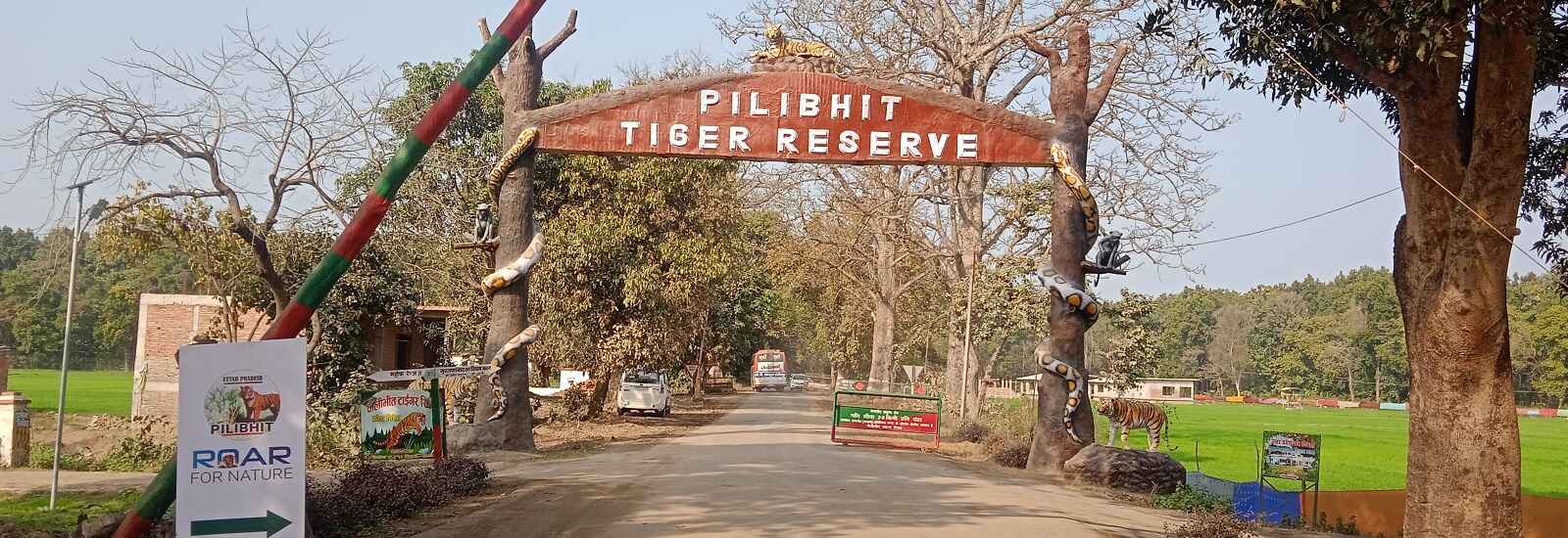 pilibhit tiger reserve