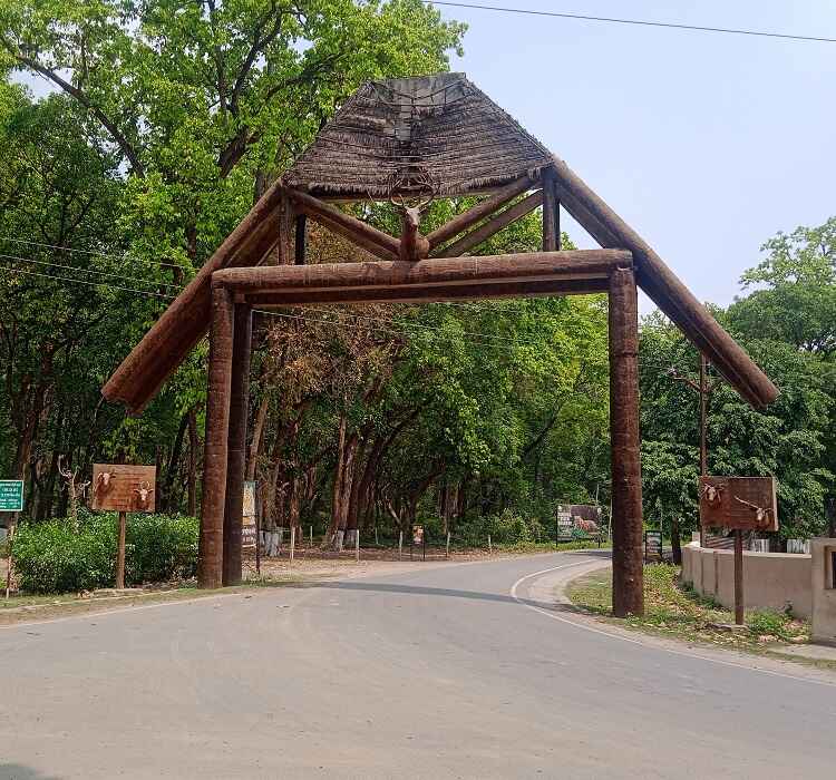 Campus Entry Gate Dudhwa National Park