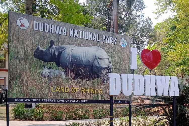 Dudhwa National Park