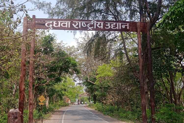 dudhwa wildlife sanctuary near by kishanpur wildlife sanctuary