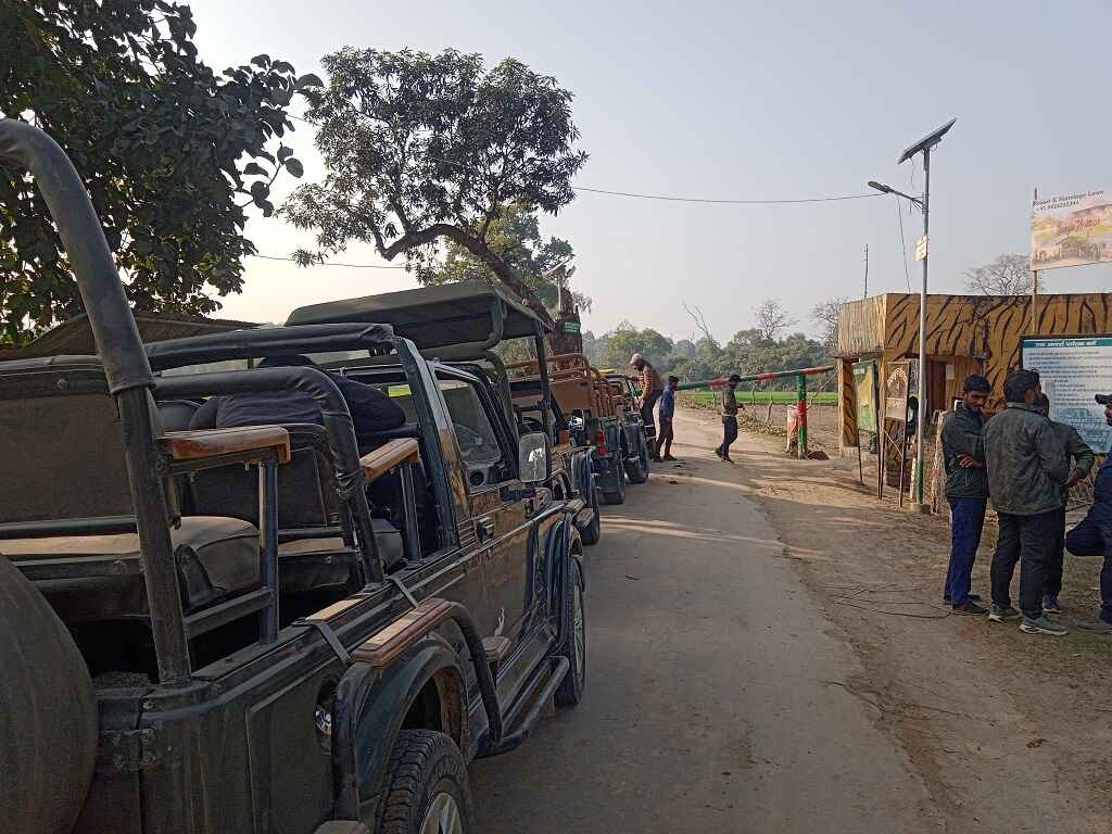 kishanpur gypsy jungle safari