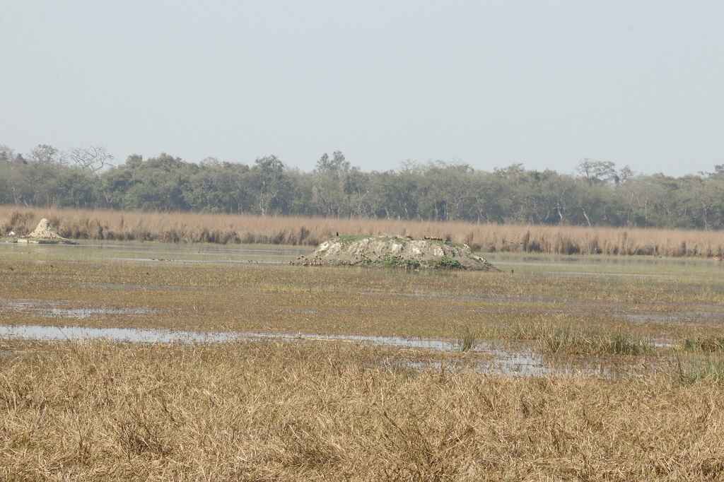 kishanpur jhadi tal