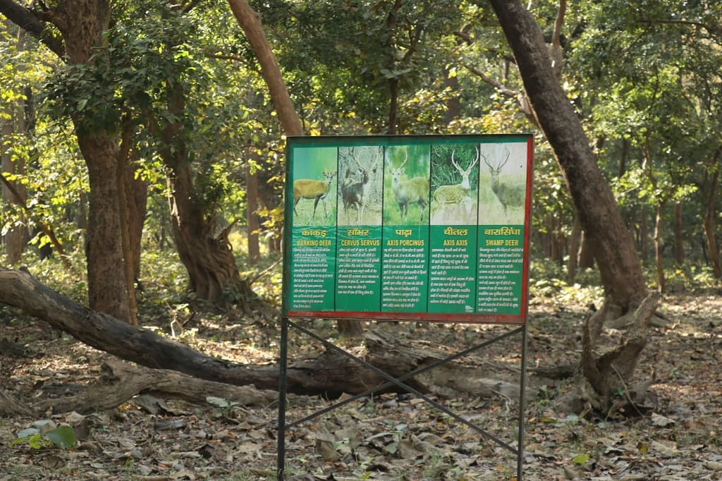 kishanpur types of deer