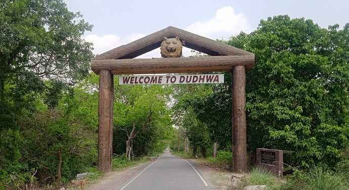 Book Dudhwa National Park jungle Safari