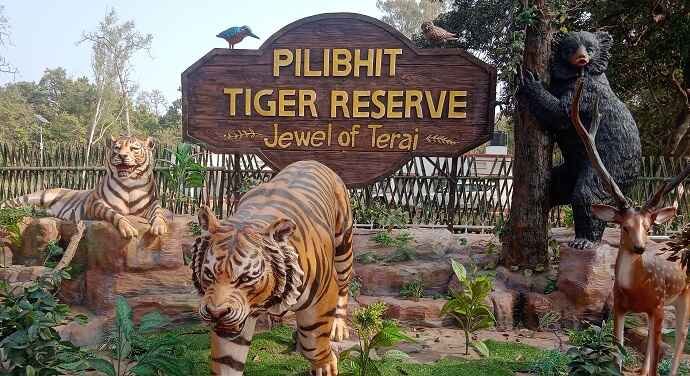 Book Safari In Pilibhit Tiger Reserve