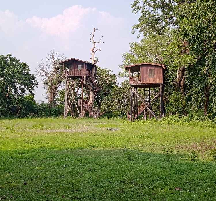 Katarniaghat Tree House Image