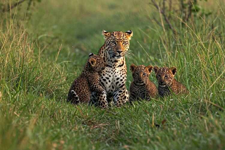 Kishanpur & Dudhwa Tour- 2 Nights / 3 Days
