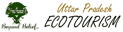 eco tourism uttar pradesh india